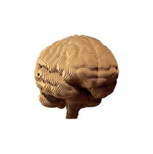 3D puzzle Cartonic Brain