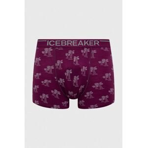 Funkční prádlo Icebreaker Merino Anatomica fialová barva